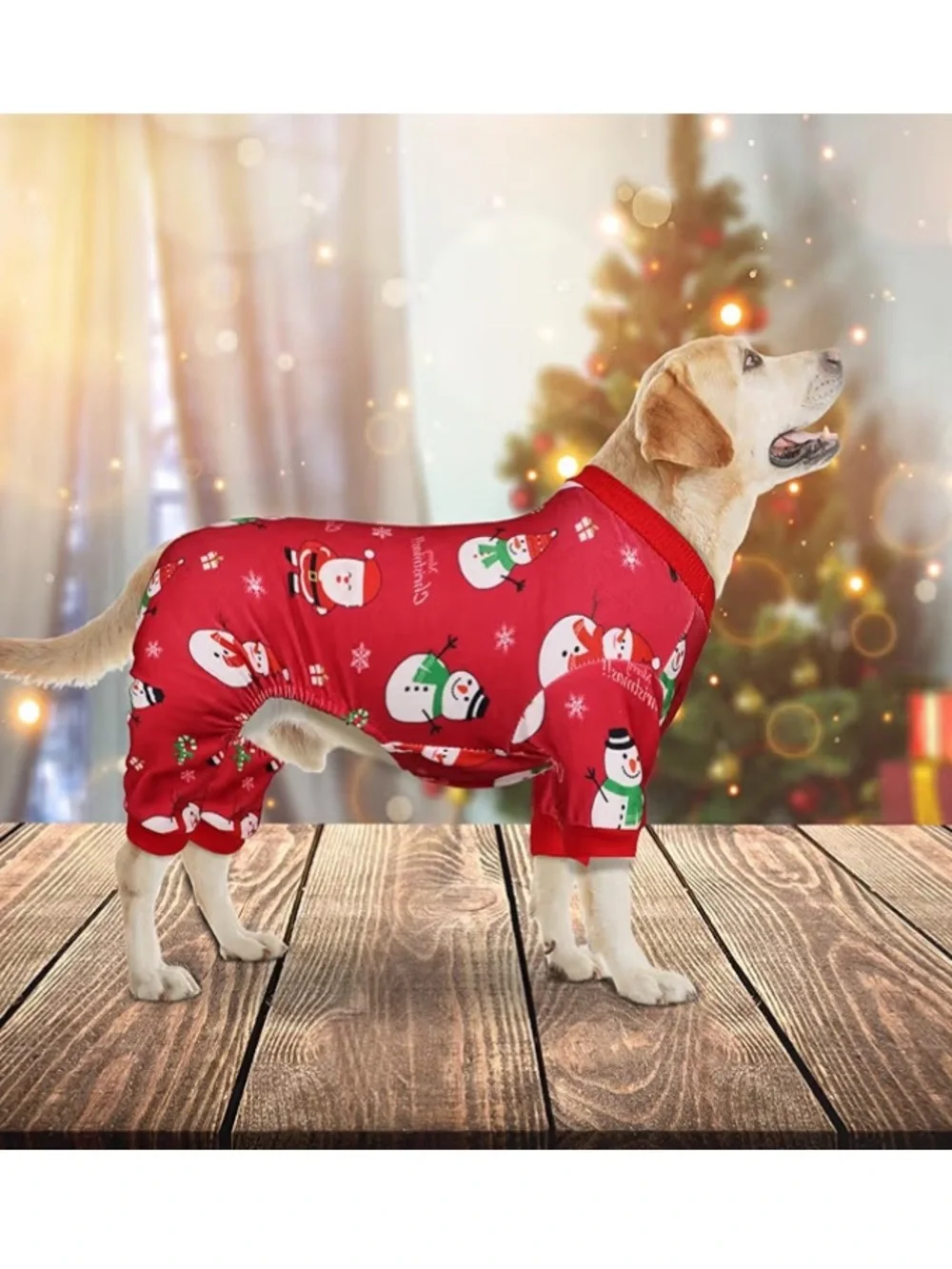 Pet Red Holiday Snowman Pajamas